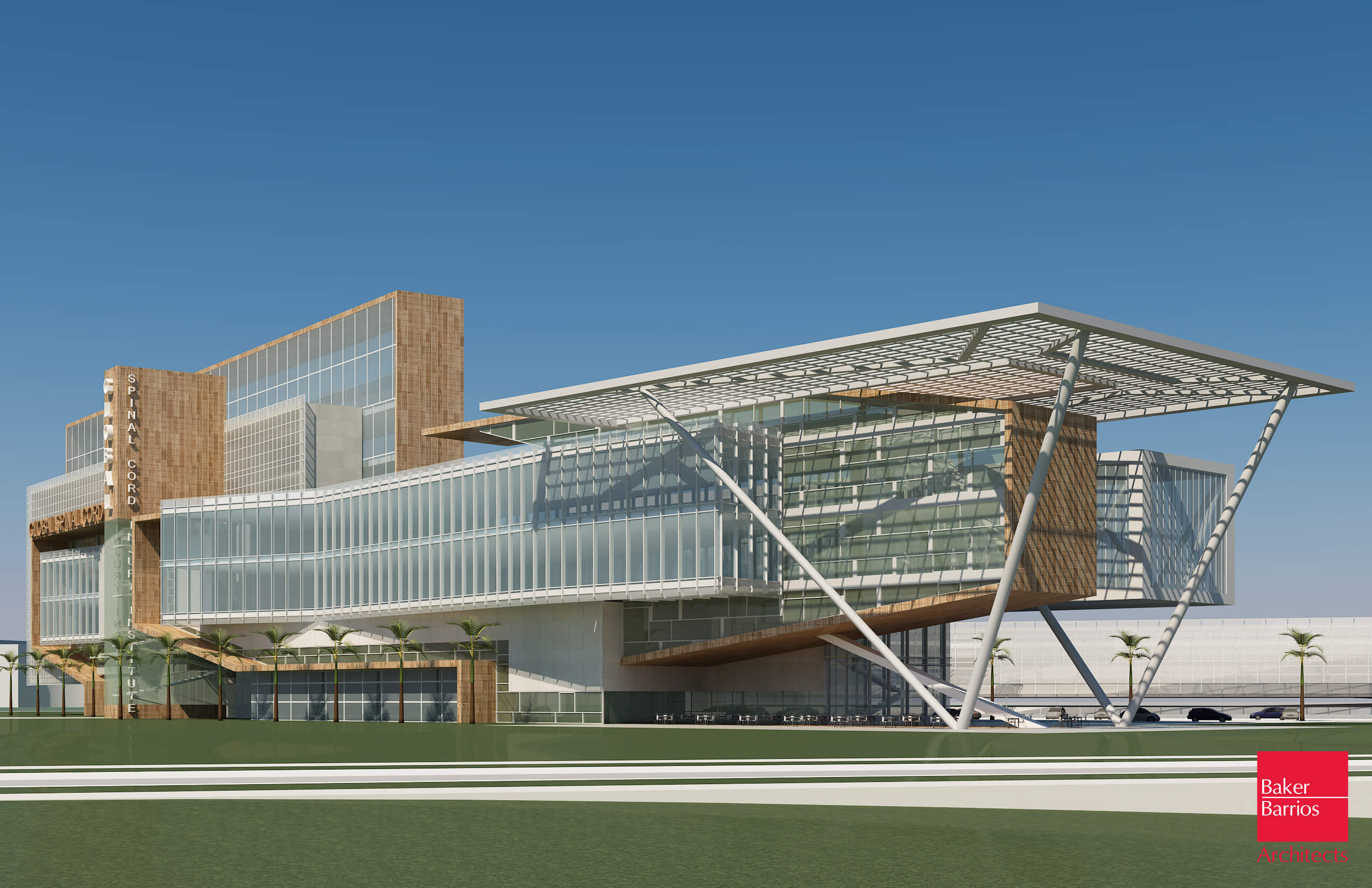 Global Spinal Cord Injury Institute