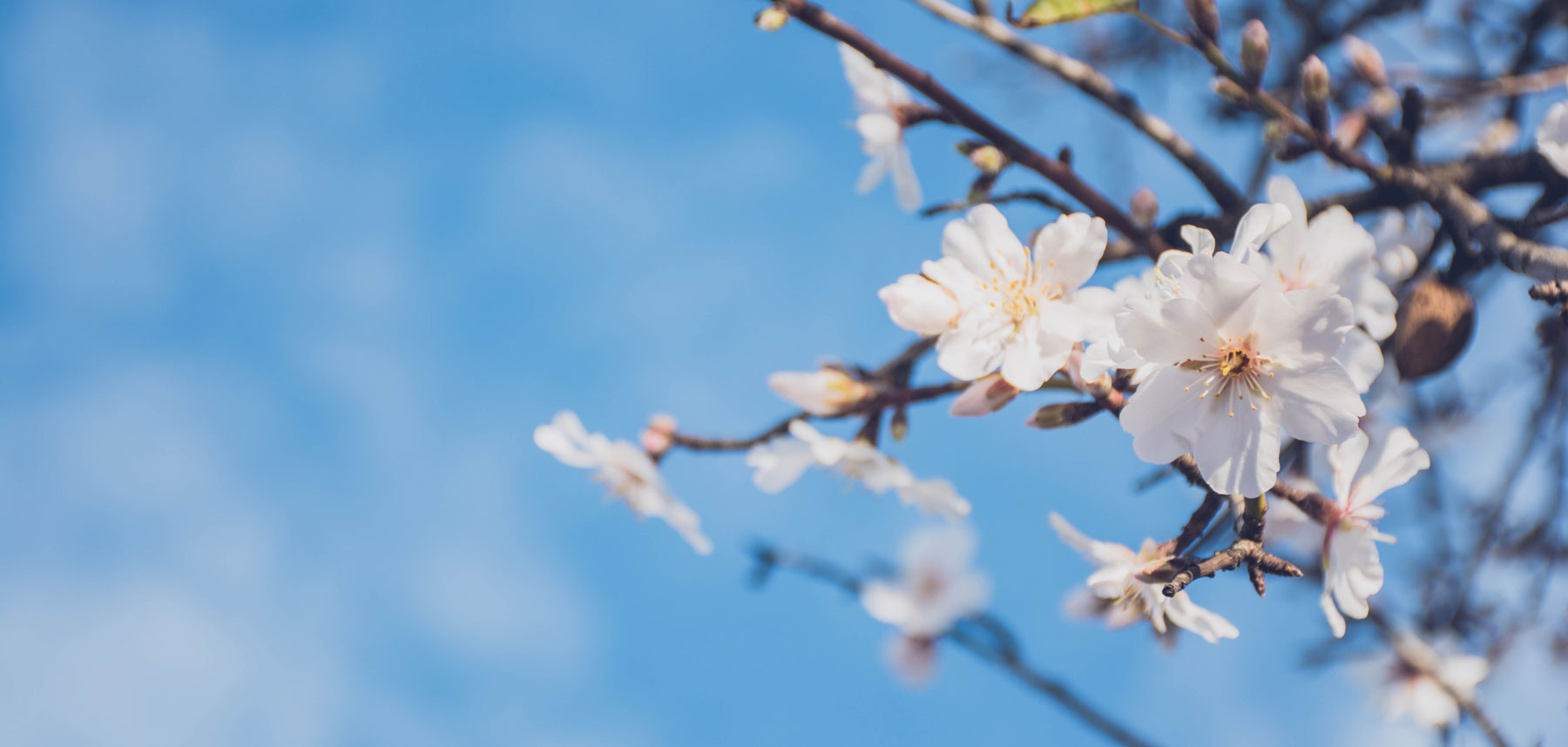 Sustainability Spring Edition